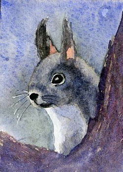 What's Up?  Rebecca Herb Madison WI watercolor